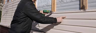 Trusted Topaz Ranch Estates, NV Siding Experts